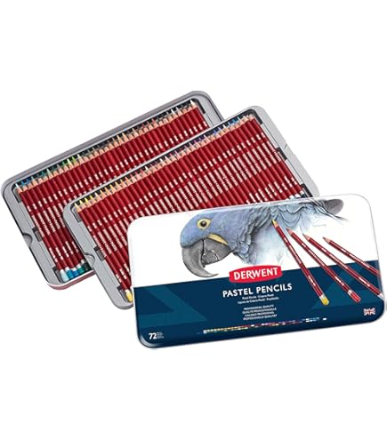 Amazon.com : Caran D'ache Set of 84 Pastel Pencils In A Wood