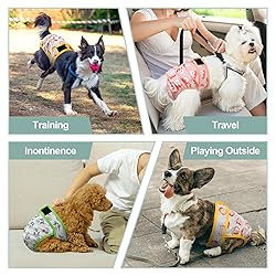 Female Dog Diapers - Premium Reusable Diapers for