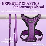 rabbitgoo Cat Harness and Lead Set XS Purple Reflective Escape Proof view 7
