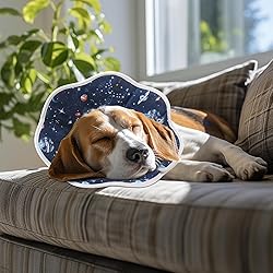 ComSaf Soft Dog Recovery Collar, Protective