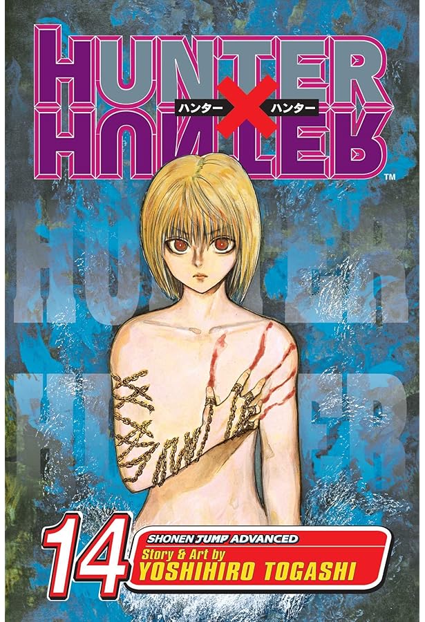 Hunter x Hunter, Vol. 13: Togashi, Yoshihiro: 9781421510699