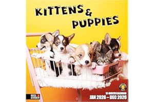 RED EMBER Kittens & Puppies 2026 Wall Calendar 12 Month | 12" x 24" Open | Thick & Sturdy Paper | Giftable | Calendar 2026