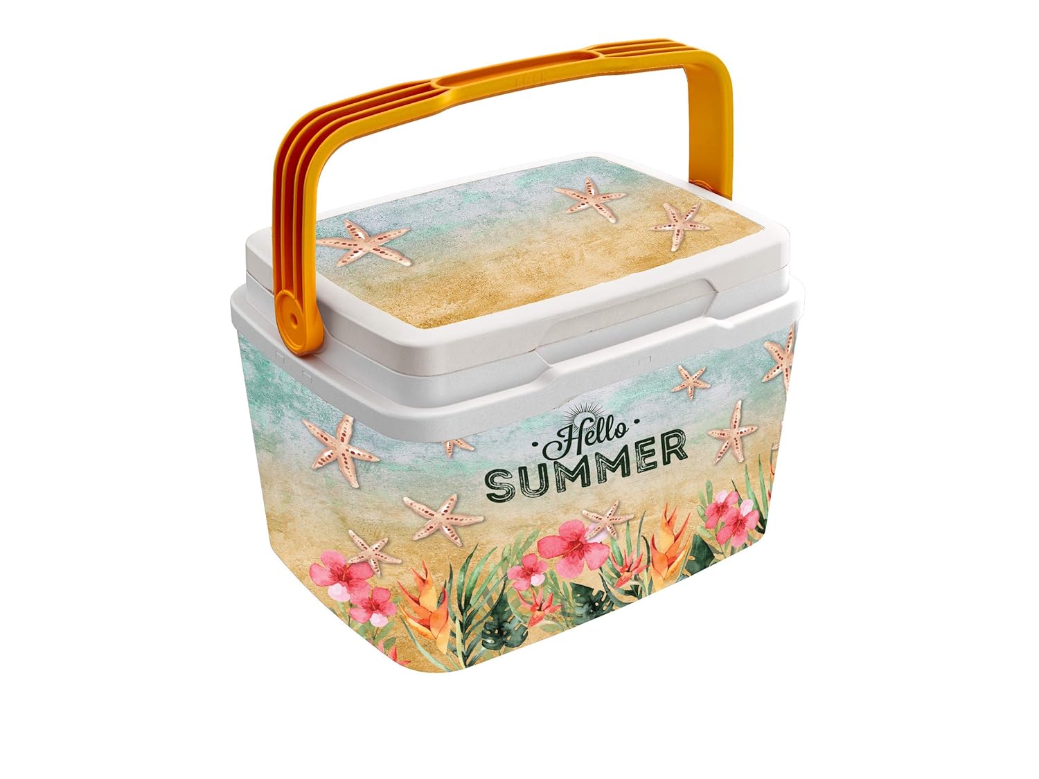 Life Story Nevera Rigida 29L / 6L: Amazon.es: Deportes y aire libre