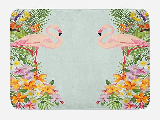 Emvency Doormats Bath Rugs Outdoor Indoor Door Mat Bird Floral Pattern Hummingbirds Tropical Japanese Flowers Butterflies Butterfly Bathroom Decor Rug Bath Mat 16 X 24