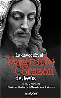 En Alas De Mi ángel La Historia Real De Una Niña Y Su ángel - 