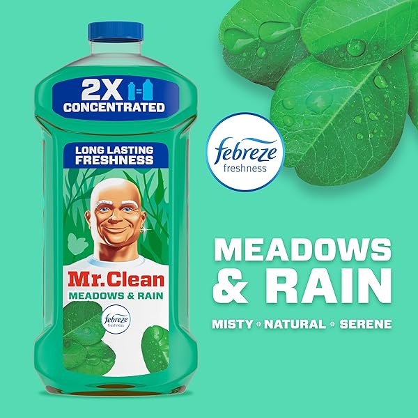 MR. CLEAN ALL PURPOSE CLEANER, FLOOR CLEANER FOR MOPPING HOME, BATHROOM, & KITCHEN, CLEANING LIQUID FOR MOP & BUCKET, CLEANING SUPPLIES, MULTI-SURFACE DILUTABLE, MEADOWS & RAIN, 41OZ
