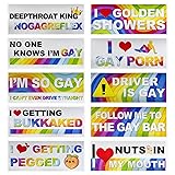 DXNQ 10 PCS Car Funny LGBT Stickers, Waterproof