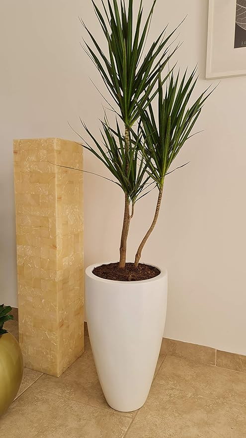 green boutique maceta decorativa de fibra de vidrio timbal chico para interior o exterior blanco