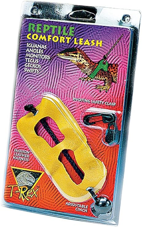 Amazon Com T Rex Comfort Leash Medium Color May Vary Pet