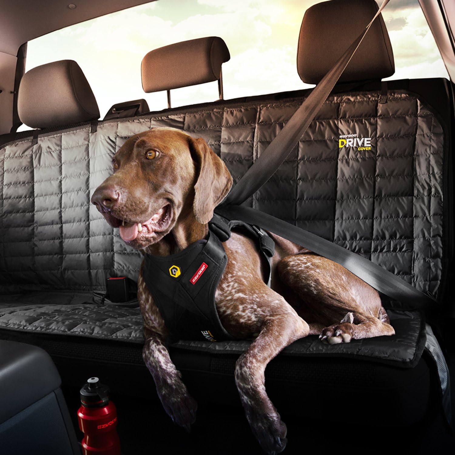 Arnes de viaje para perro