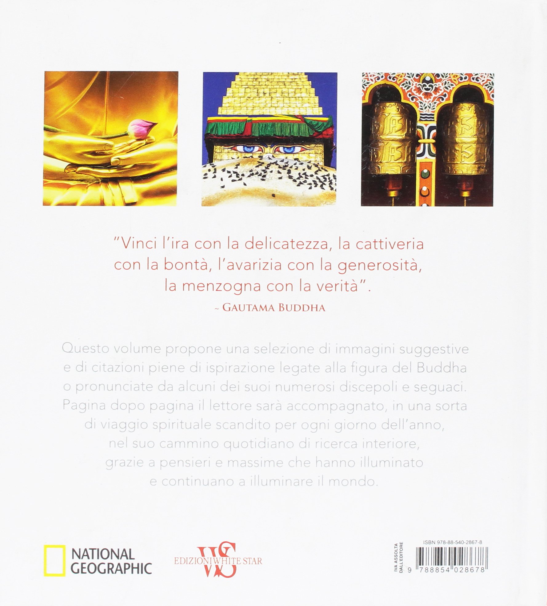 Amazon It 365 Pensieri Sulle Orme Di Buddha Ediz Illustrata Aa Vv Libri