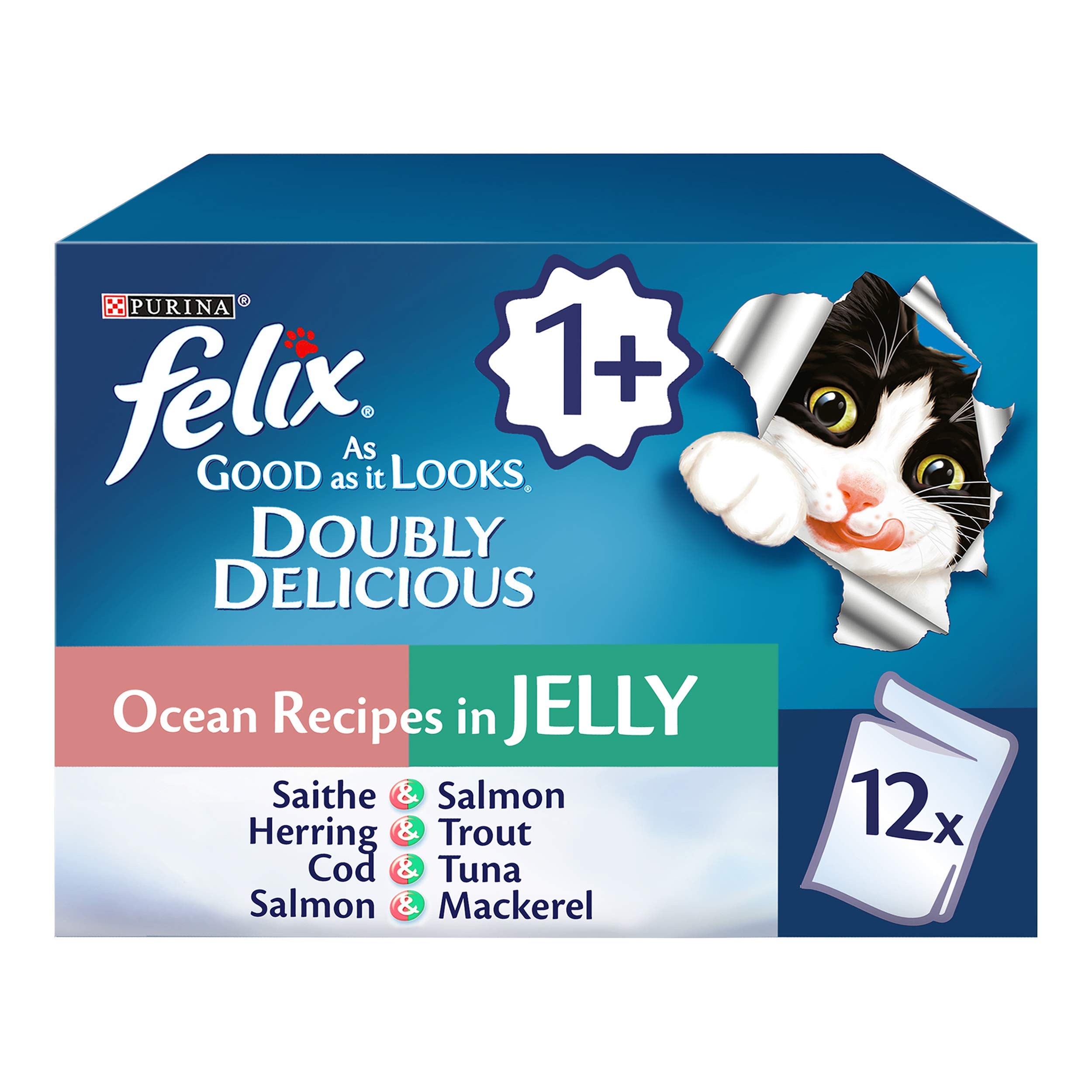 Felix Doubly Delicious Ocean Recipes Cat Food 12x100 g