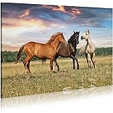 WALLSUP DECOR Animal Horses Wall Art Painting - Wildlife Canvas Picture Western Lovely Horse Playing Running on Grass Artwork for Bedrooms Hallway