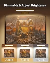 EZVALO Picture Light for Wall, 16'' Rechargeable