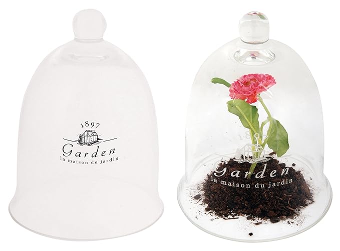 Esschert AGG17 design'Garden' Pflanzglocke sortiert L, 18 x 22 x 18 cm