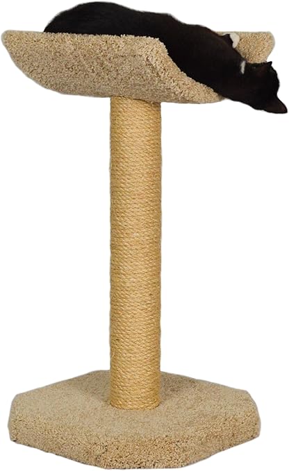 molly and friends cat scratching post
