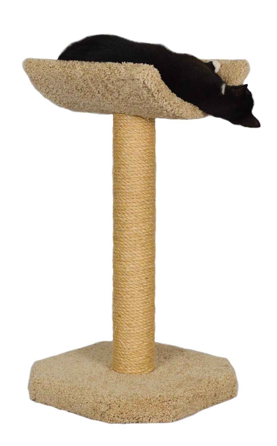 Best 4 tier cat furniture carpeted