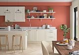 Dulux Simply Refresh Blood Orange Matt Emulsion Paint 1.25L view 8