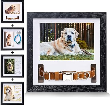 dog collar picture frame