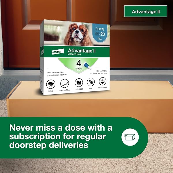 ADVANTAGE II MEDIUM DOG VET-RECOMMENDED FLEA TREATMENT & PREVENTION | DOGS 11-20 LBS. | 4-MONTH SUPPLY