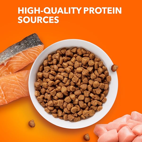 IAMS PROACTIVE HEALTH ADULT HEALTHY DRY CAT FOOD WITH SALMON, 7 LB. BAG