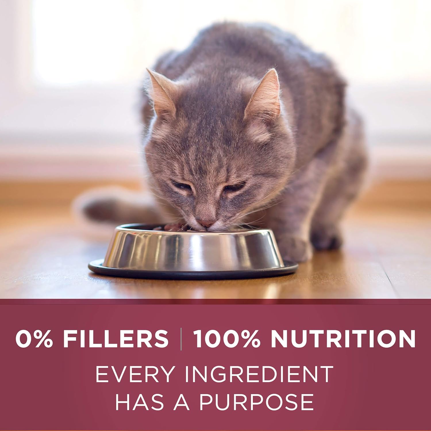 Purina ONE High Protein Dry Cat Food, Urinary Tract Health Formula - 16 lb. Bag : Dry Pet Food : Pet Supplies