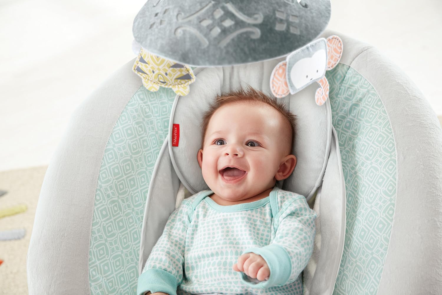 fisher price sweet surroundings bouncer