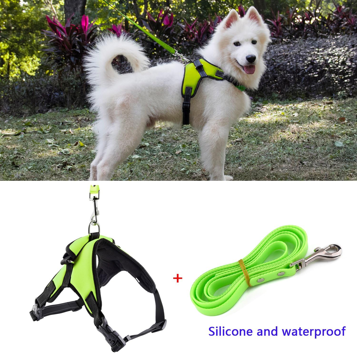 queen victoria corgi