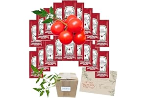 Ketchup Single Serve Portions RAOS bundle box (50) with Recipe Card