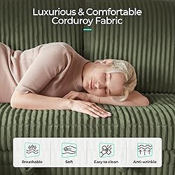 LINSY HOME Loveseat Sofa with Storage - Comfy Plush