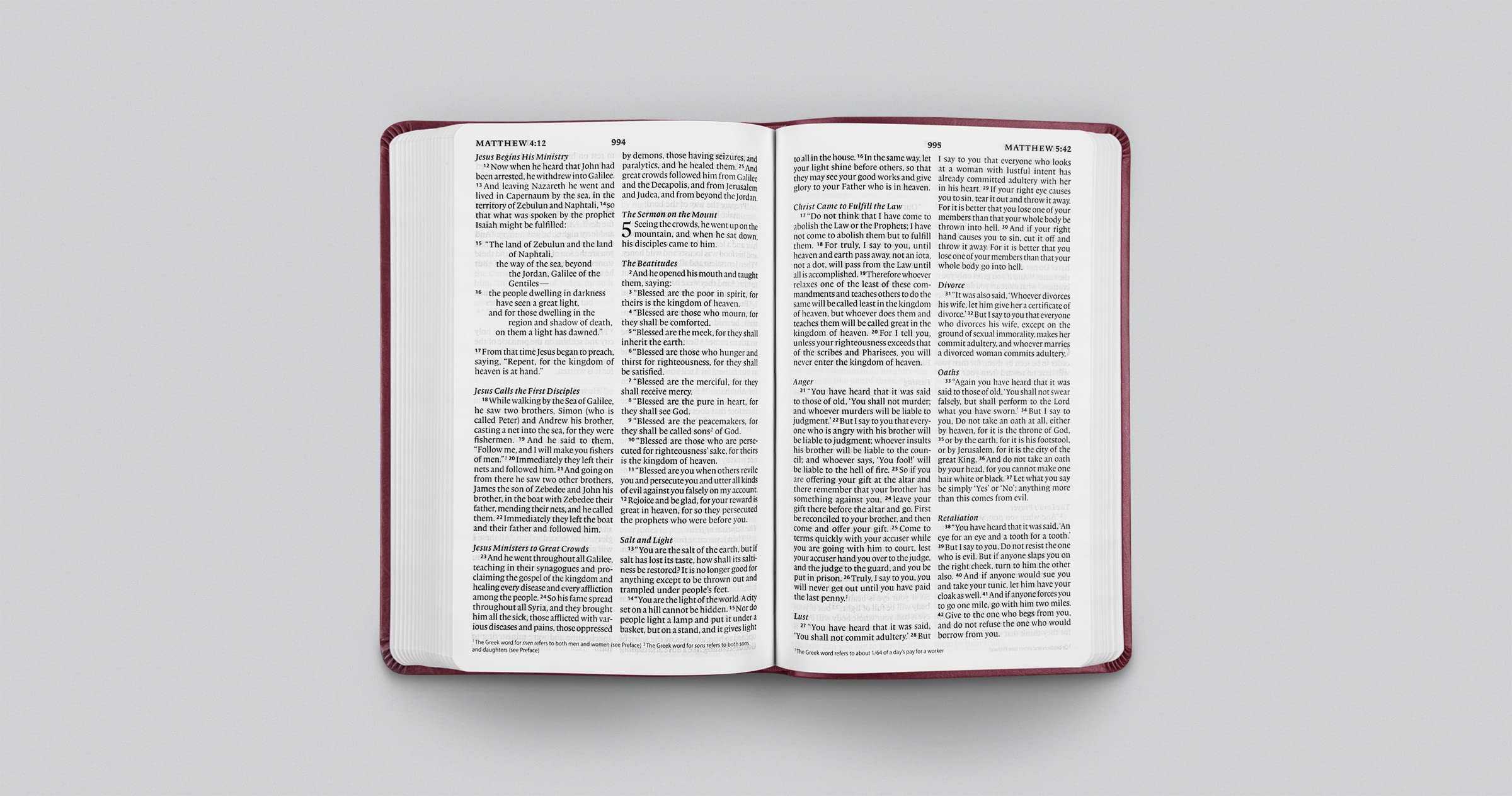 ESV Large Print Value Thinline Bible (TruTone, Raspberry, Floral Design): Holy Bible, English Standard Version