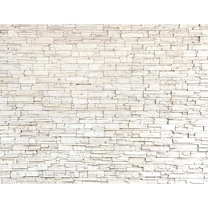 Fototapete Steinwand 3D Effekt Vlies Wand Tapete Wohnzimmer Schlafzimmer Büro Flur Dekoration Wandbilder XXL Moderne Wanddeko