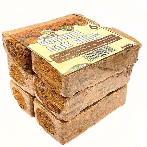 COCONUT CHIPS 6 PACK – COCO HUSK CHIPS...