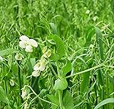 Peas and Oats Cover Crop Seeds - Fast Growing, Use