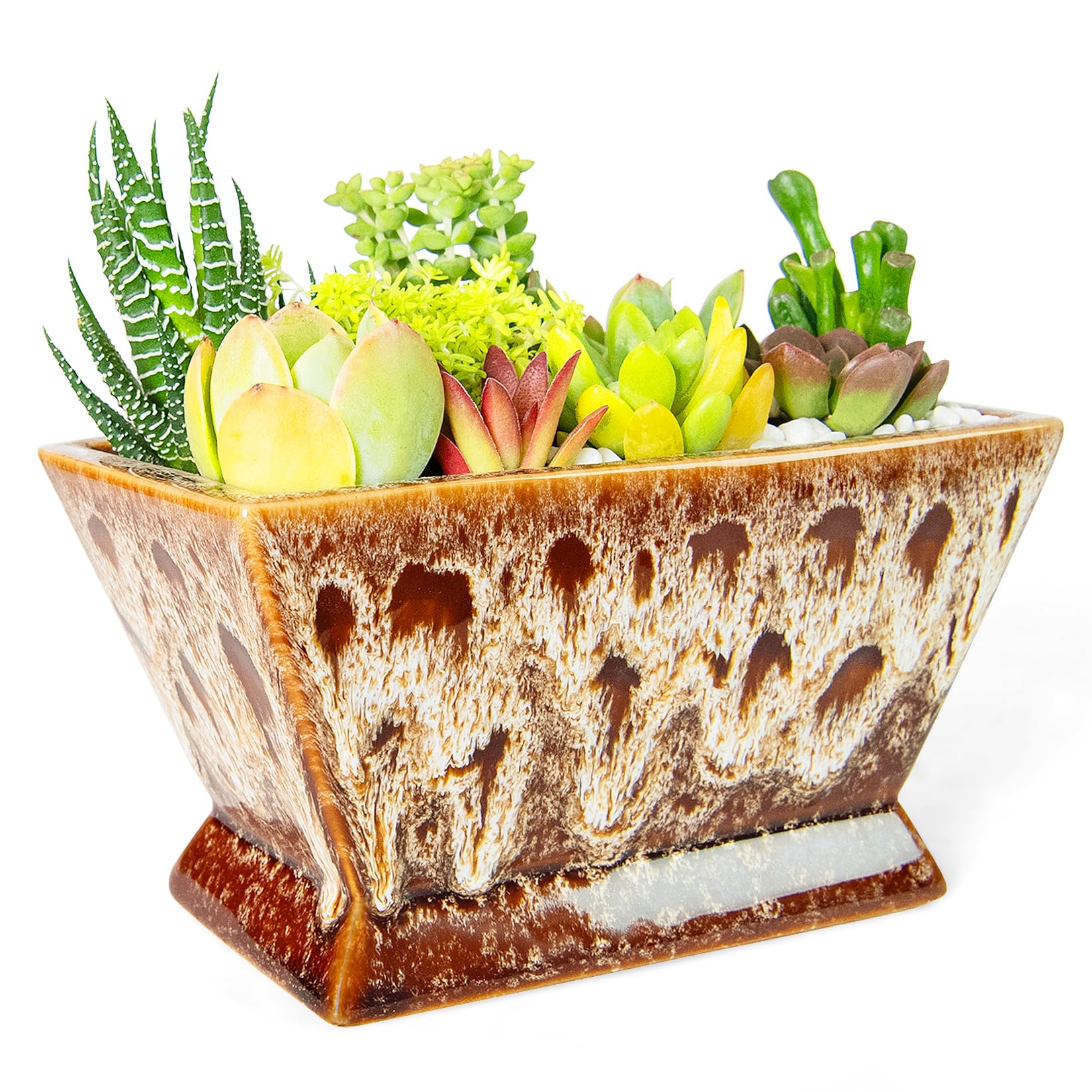 ARTKETTY Plant Pots - Large Succulent Planters Pots with Drainage, Ceramic Pots for Indoor Outdoor Cactus Plants Glazed Bonsai Flower Planter Container for Desk Windowsill Decor — image 1