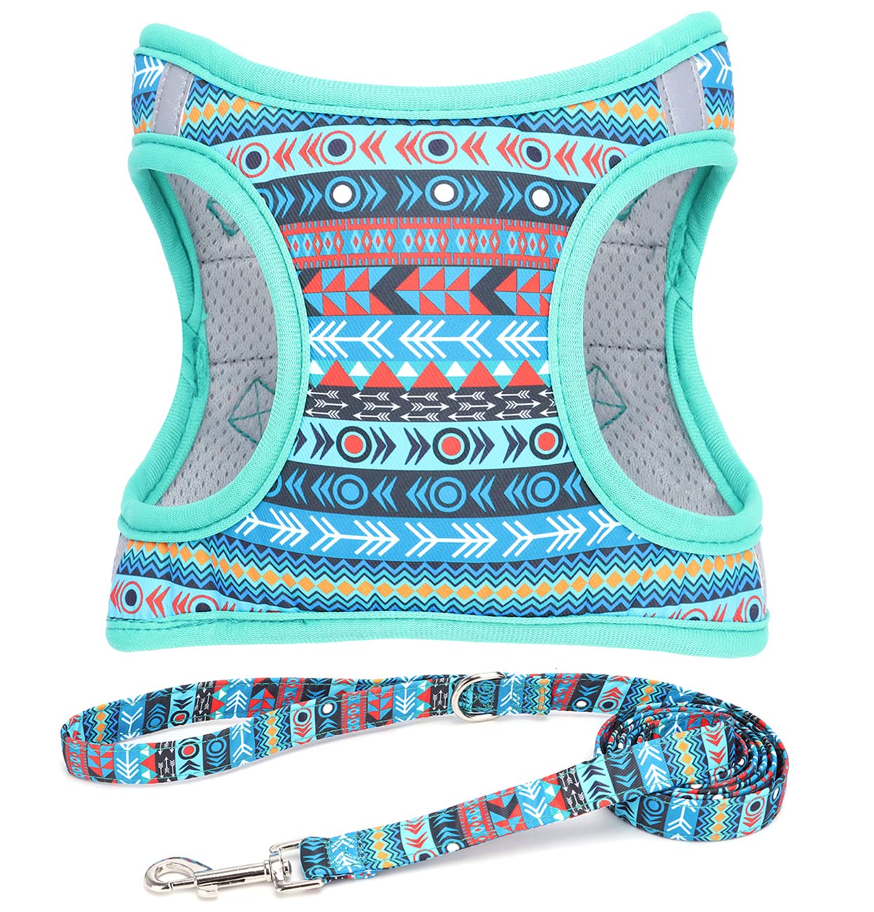 Moonpet Step in Air Boy Dog Harness Leash Set- All Weather Reflective No-Pull Padded Mesh Vest Harness for Cats Puppy Extra-Small Small Medium Large Dogs - Mayan Mysteries - S
