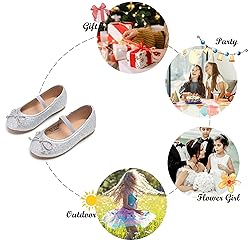 Felix & Flora Toddler Little Girl Silver Dress