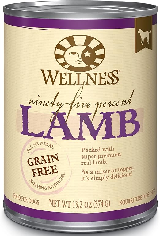 chihuahua cross king charles