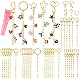 Ecoofor 50 Set Keychain Making Kit, 5 Style Metal Keychain Clips with Swivel Snap Hooks, Lobster Clasps, Key Rings & Extender Chains for DIY Crafts, Jewelry, Bags, Keychains & Gift Accessories