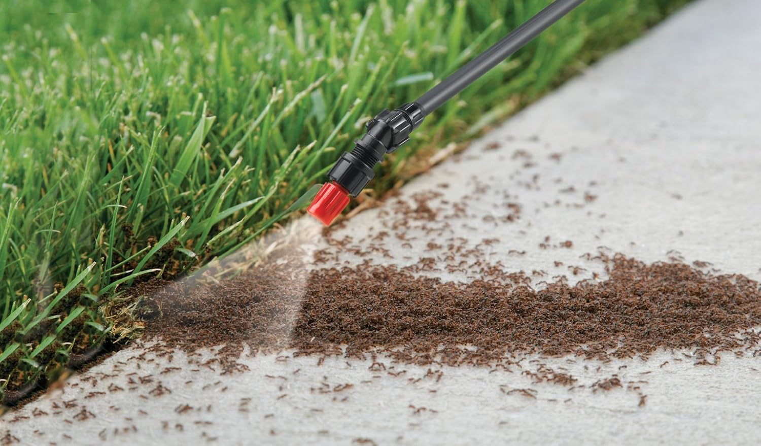 Solo 430-2G 2-Gallon Farm and Garden Sprayer with Nozzle Tips for Multiple Spraying Needs : Lawn And Garden Sprayers : Garden & Outdoor