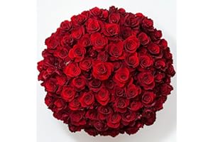 GlobalRose 200 Red Roses - Fresh Cut Flowers- Wholesale Express Delivery