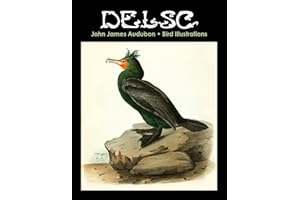 John James Audubon Bird Illustrations