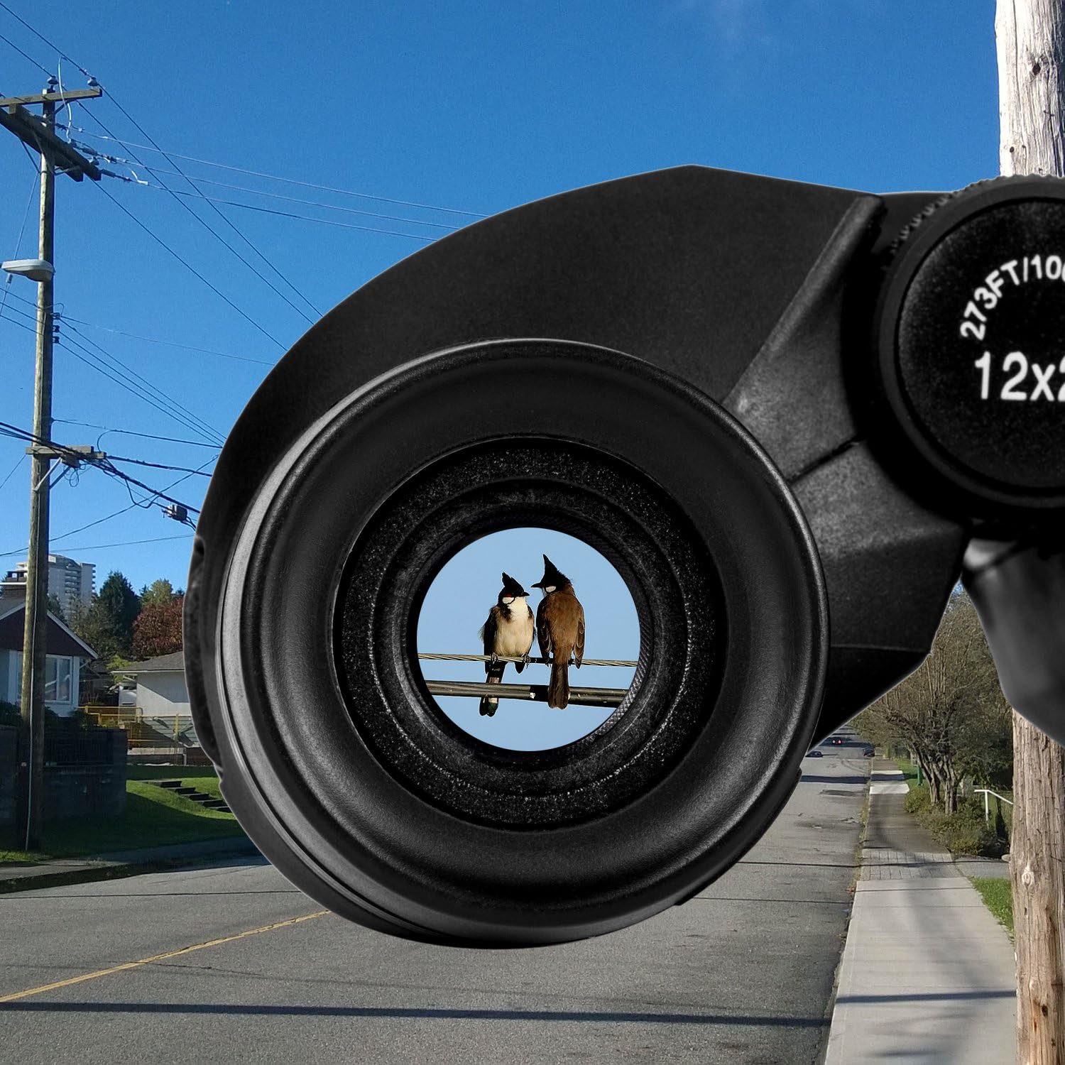Occer 12x25 Compact Binoculars with Low Light Night Vision, Large Eyepiece Waterproof Binocular for Adults & Kids, High Power Easy Focus Binoculars for Bird Watching, Outdoor Hunting, Travel, Sightseeing : Camera & Photo