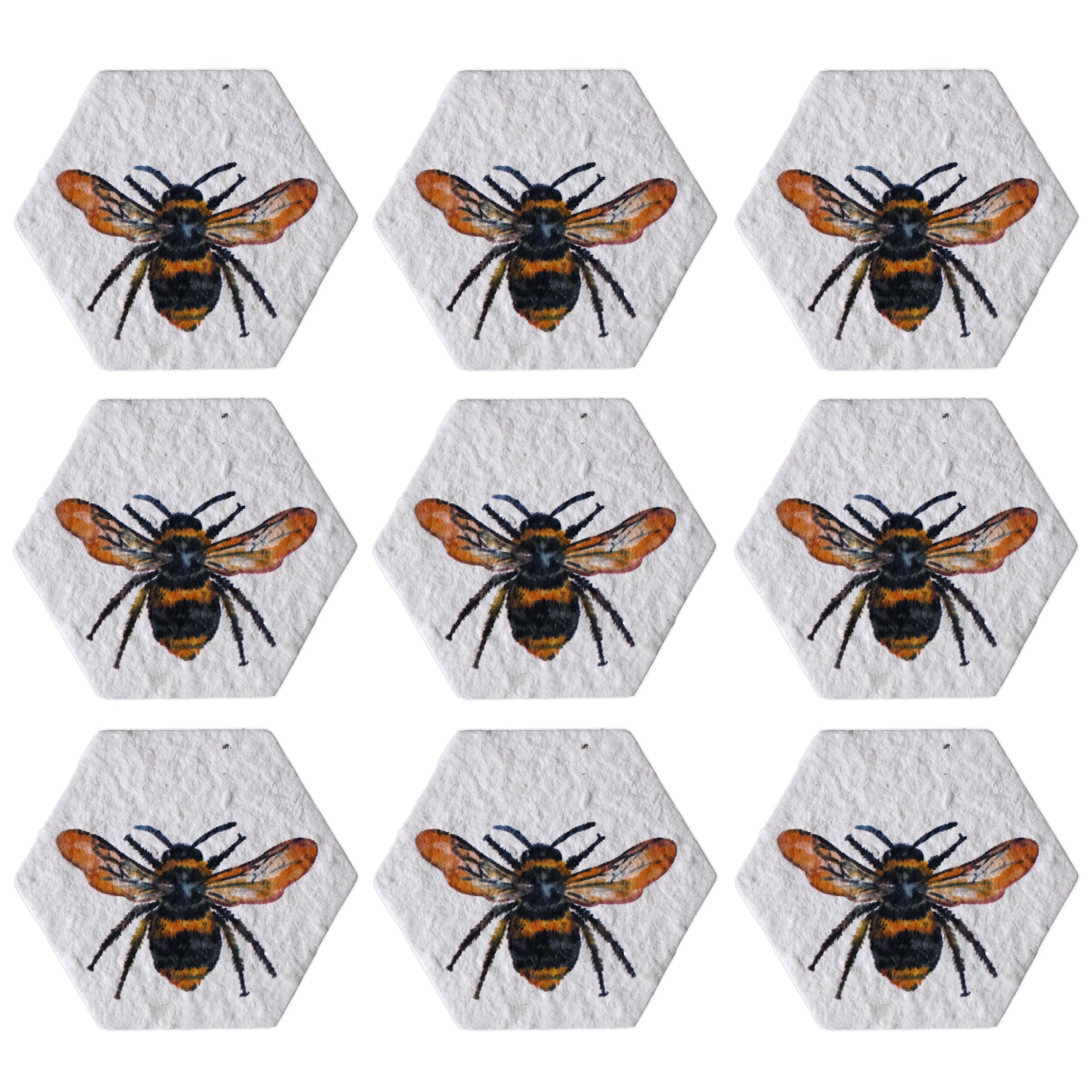 Revive a Bee Plantable Seed Paper Hexagons (Pack of 50), Printed Early Bumblebee Wildflower Seeded Paper Rewilding Aid For Weddings, Parties, Funerals