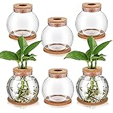 Baderke 6 Packs Propagation Vases for Plants Plastic Plant Propagation Station with Hole Lid and Cork Coasters Plant Growing in Water Hydroponic Home Office Table Decoration(Fish Bowl Style)