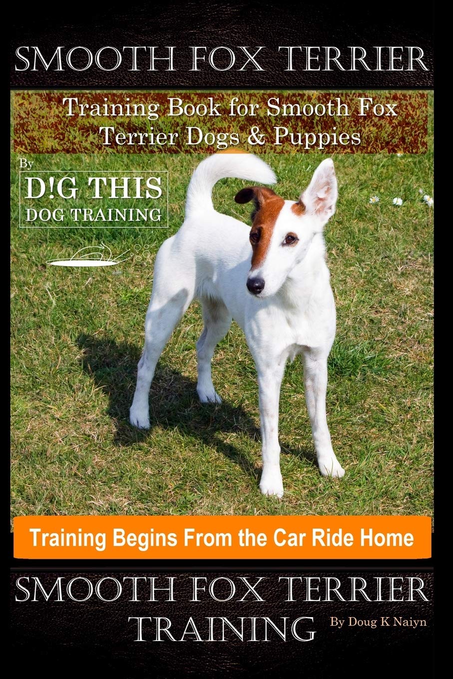 training fox terriers