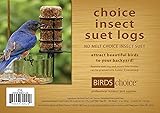 Birds Choice Insect Suet Log 3oz.-4-pack