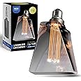 Next Glow Decorative Light Bulb Eq 20W ICE Style Shaped E26 Led Bulb Medium Base, Dimmable, Smoke/Grey Warm Light Bulb 55 Lumen, with Virtual Filament, Inner Pillar, Edison Light Bulbs LED for Home