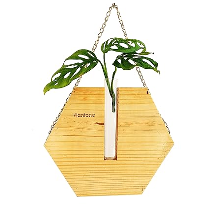 Jayamani Test Tube Planter Plant Propagation Station with Wood Stand for Propagating Hydroponic Plants (Hexagon- Beige)
