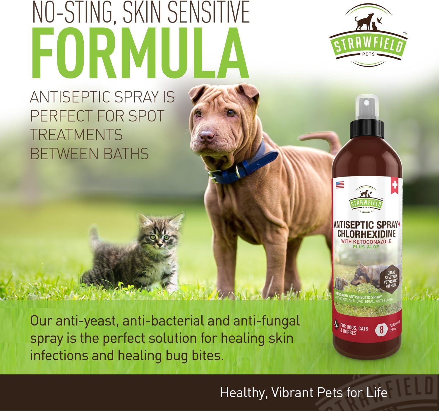 Chlorhexidine Spray for Dogs, Cats - Ketoconazole, Aloe - 8 oz - Cat, Dog Hot Spot Treatment, Mange, Ringworm, Yeast Infection, Itching Skin Relief, Allergy Itch, Acne, Antibacterial Antifungal, USA : Pet Supplies